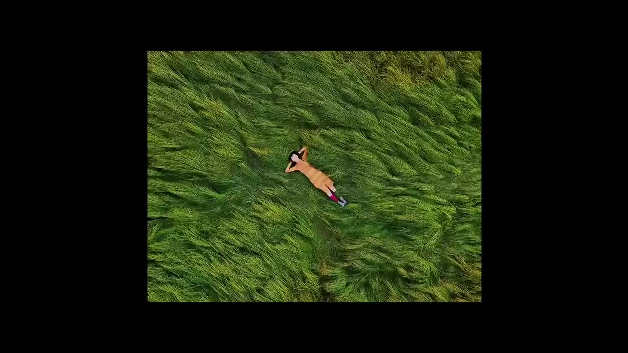 发布会全程回顾&nbsp;5096997