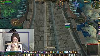 捡起了老本行 又开始玩jjc