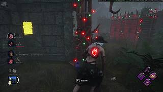 一起养鱼吗？萌新，勿喷，易破防