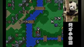 天才小帅熊的直播间