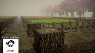 电影级画质，睡眠直播。~