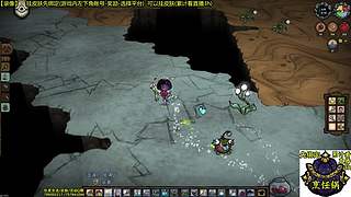 看直播得皮肤 饥荒小明鸽i