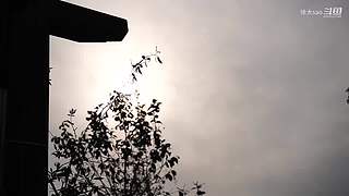 今天咱们吃一顿好的，持续更新..