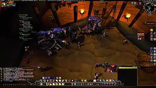 宠物对战全连胜！天梯不败战绩