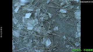 ❤️怡宝❤️陪你重刷[经典热剧]]