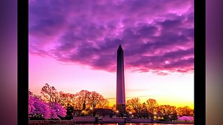 不羡鸳鸯不羡仙啊