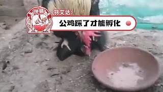 中午12播到晚上10