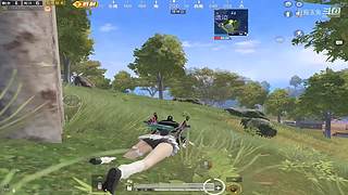 月殿玉兔直播间