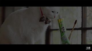 日食记线下店直播中！