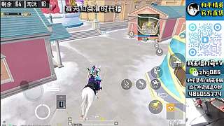 【纯净海岛】精英手册，一手数据~