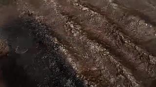 电影级画质，睡眠直播。~