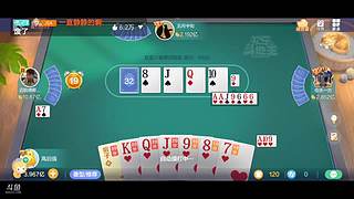 八雀狗都不玩！！！！