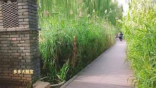 大脸宝带你玩景点，听于是事