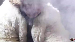 来来嗨嗨嗨
来来来