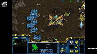 星际老菜鸟，绝色直播间