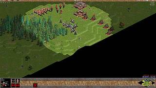 叶子-叶叶叶的直播间