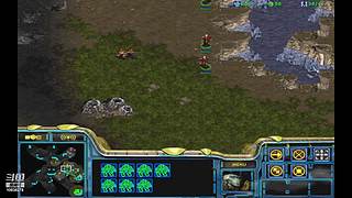 小小疯直播的直播间