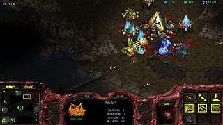 大风车203的直播间