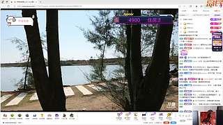 【小奶团】奶团八卦