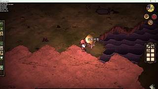 饥荒新手。。。。 12743871