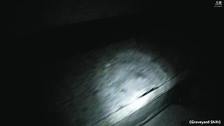 【炸毛张】我要上4400！！！