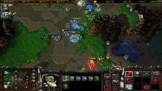 （直播）DWSL~~lyn神归来