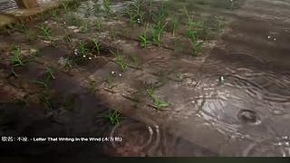 电影级画质，睡眠直播。~