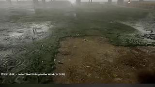 电影级画质，睡眠直播。~