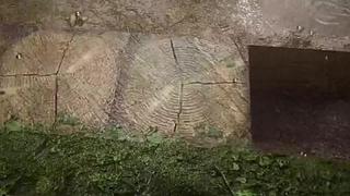 电影级画质，睡眠直播。~