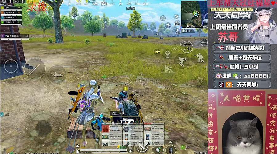 带粉/帮打/超稳晋级赛