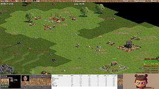 鹰之梦小红花直播间