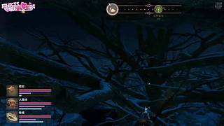 新手主播，第一档