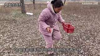 大庆正在农村的直播间