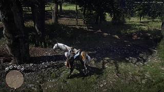 【4K】荒野大镖客2---100%成功度