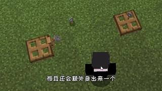 萌宠电影剪辑的直播间