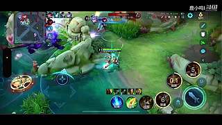 无需鸟标证明 10040721