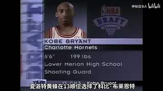 国服最强动物园