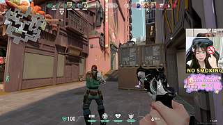 M77：小喵出击！