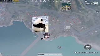 月殿玉兔直播间