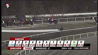 非你良人i的直播间7365