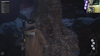 龙哥回来了 232295