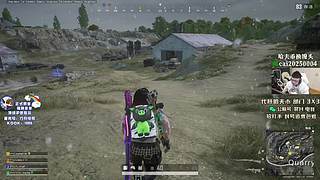 【PIGFF】新年快乐