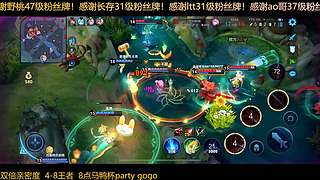 铁鸭杯王者支持！