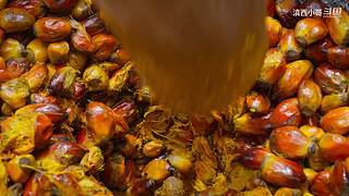 滇西小哥的美食视频