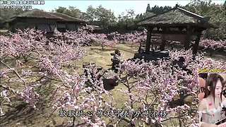 ❤️下饭神剧❤️