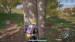 祝大家新的一年顺顺利利