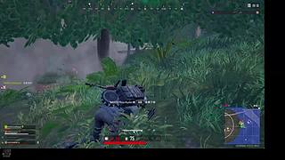 mivowl的的直播间