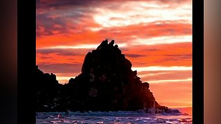 不羡鸳鸯不羡仙啊