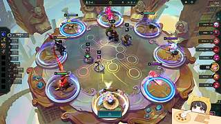 猫猫大王来啦！