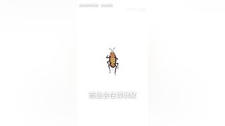 华为发布会 厉害邀请你连麦一起看